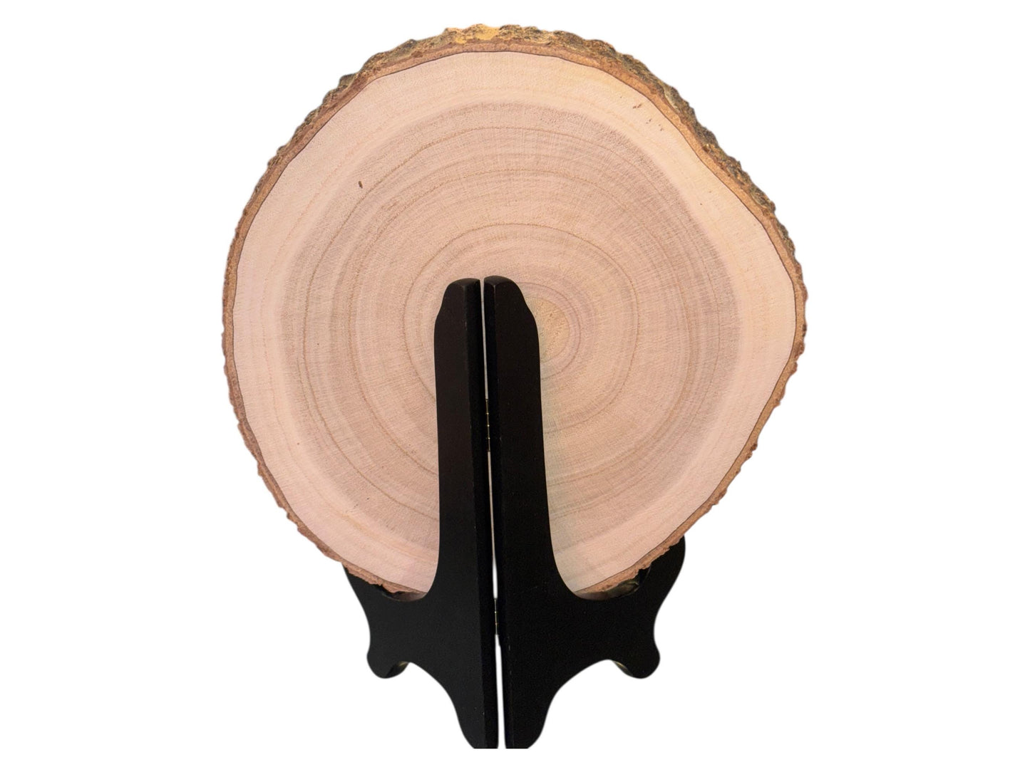 Engraved Trout Wood Slice – 8 to 9 Inch Round